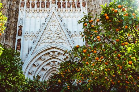 Spain, Andalusia, Seville, the Cathedral bell tower seen from the orange tree courtyard. 2019 Februaryのeditorial素材