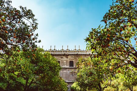 Spain, Andalusia, Seville, the Cathedral bell tower seen from the orange tree courtyard. 2019 Februaryのeditorial素材