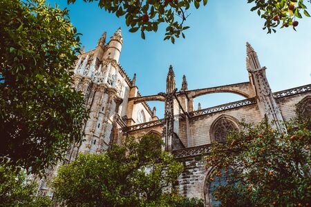 Spain, Andalusia, Seville, the Cathedral bell tower seen from the orange tree courtyard. 2019 Februaryのeditorial素材