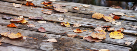 Abstract autumn backgrounds. autumn leaves over old wooden background. Fallen leaf on wood at the lake. Late autumn time. Banner. copyspace.の写真素材