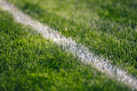 Soccer pitch white line. Grass football field. Close up of sports grass venueの写真素材