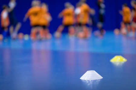 School Kids on Physical Education Class at School. Futsal Soccer Training Court. Indoor Sports Training Equipment. Kids in a Group With Coaches in Blurred Background.の写真素材