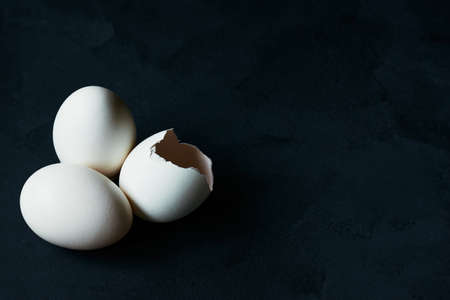 eggs on a dark base in natural lightの写真素材