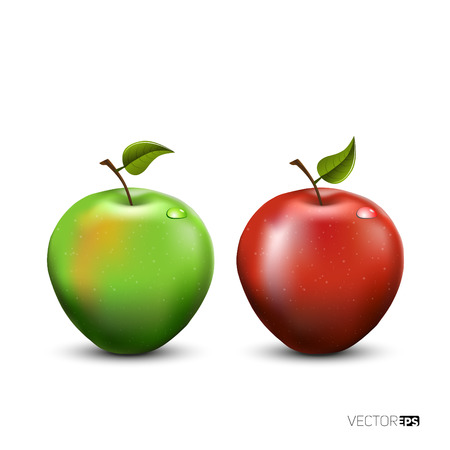 illustration of detailed big shiny green and red appleのイラスト素材