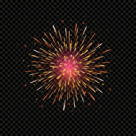 Festive firework bursting circle shape sparkling pictogram against black background, vector isolated illustrationのイラスト素材
