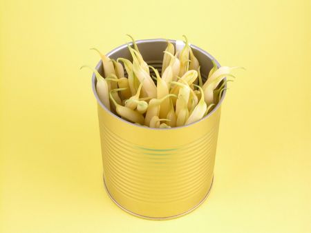 can full of string beans on yellow backgroundの写真素材