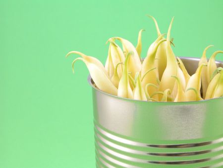 can full of string beans on green backgroundの写真素材
