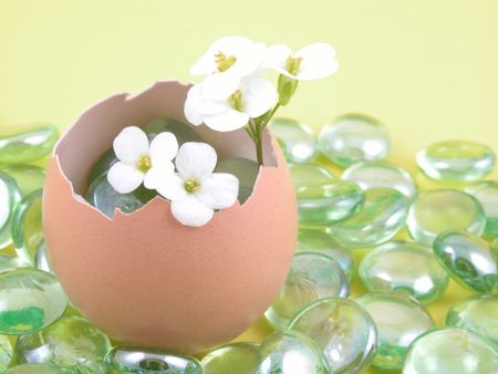 eggshell with spring flowers on yellow background