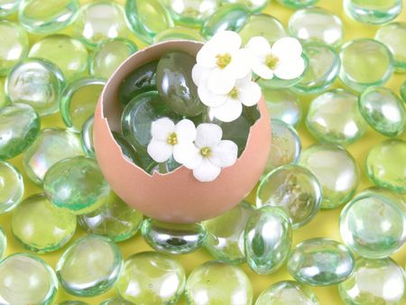 eggshell with spring flowers on yellow background