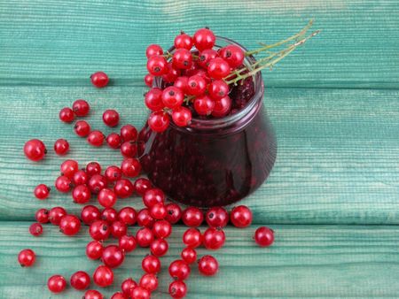 jar of redcurrants jam and some fresh currantsの写真素材