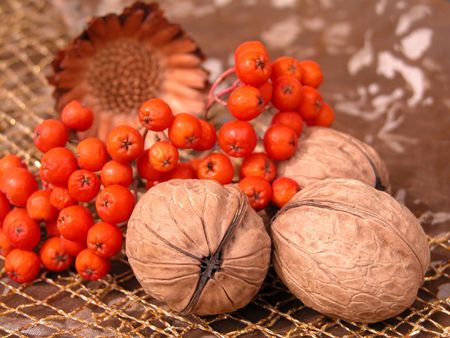 composition of walnuts and rowanberry