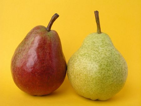 two pears - red and greenの写真素材
