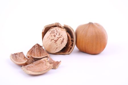 two hazelnuts isolated on white