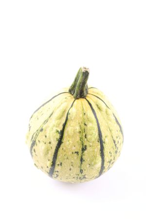little colorful pumpkin isolated on whiteの写真素材