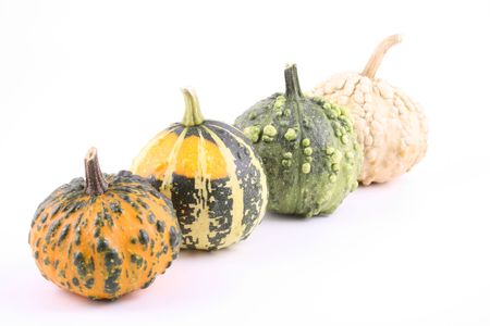 four little colorful pumpkins isolated on whiteの写真素材