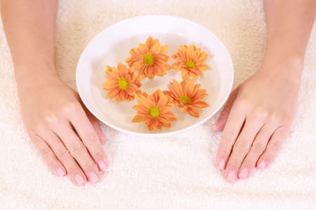 bowl of pure water and spring flowers - hands careの写真素材