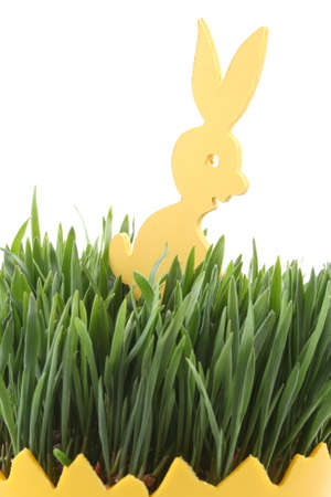 Easter egg with green oats and bunny isolated on white