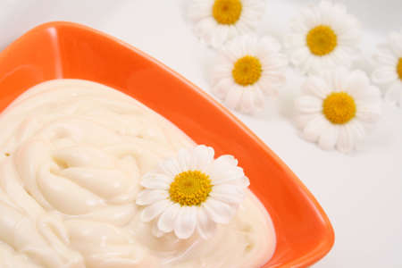 close-ups of camomile cream - beauty treatmentの写真素材