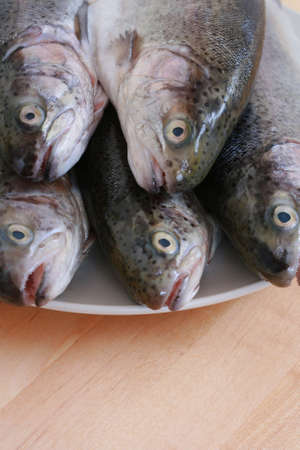 plate full of rainbow trouts on tableの写真素材