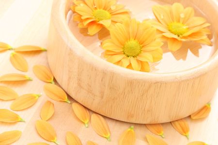 bowl of water and floating daisy flowersの写真素材