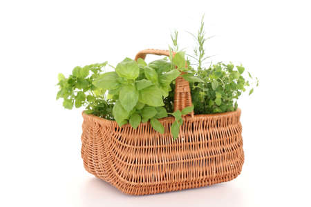 basket full of various herbsの写真素材