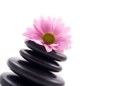 pebbles stack with pink daisy isolated on whiteの写真素材