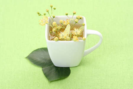 cup of tea and linden flowers on greenの写真素材