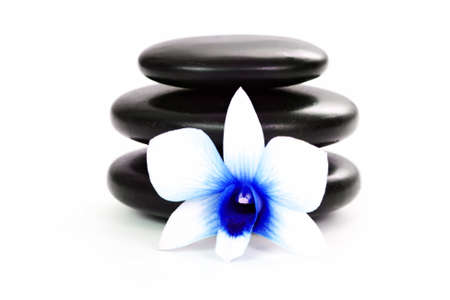 black pebbles with beauty orchid isolated on whiteの写真素材