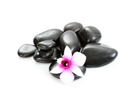 black pebbles with beauty orchid isolated on whiteの写真素材