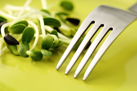 plate of germ buds of sunflower - healthy eatingの写真素材