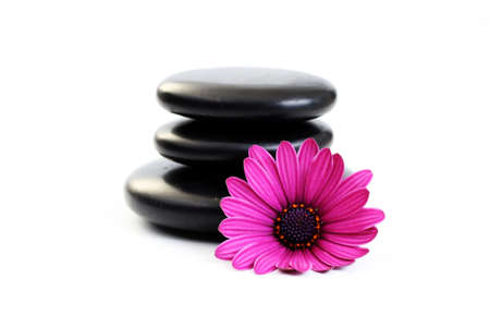 black pebbles with pink flower isolated on whiteの写真素材