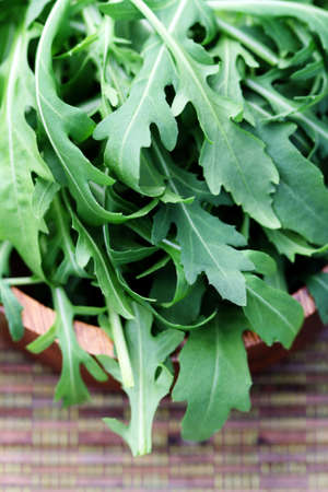 bowl of fresh rucola - food and drinkの写真素材