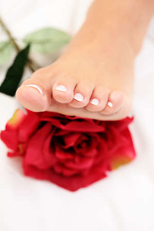 sexy female foot with red rose on white duvetの写真素材
