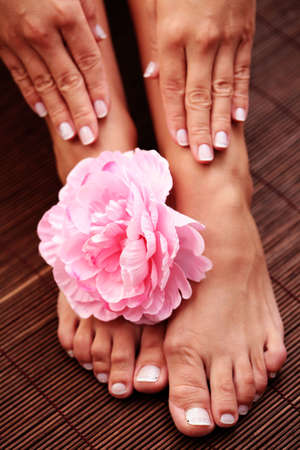sexy female feet and handswith bowl of flowers - beauty treatmentの写真素材