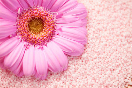 pink bath salt with pink gerbera flower - beauty treatmentの写真素材