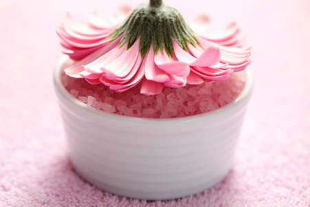 pink bath salt with pink gerbera flower - beauty treatment