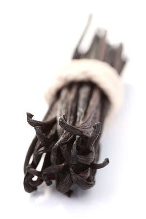 Wanilla beans isolated on white - herbs and spicesの写真素材