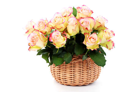 basket full of roses on white background - flowers and plantsの写真素材