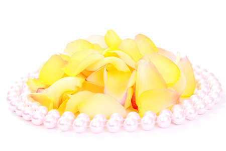 rose petals on white background - beauty treatmentの写真素材