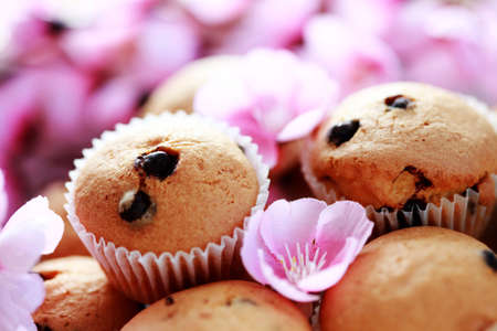 delicious muffins with chocolate - sweet food