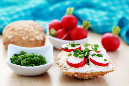 buns with cottage cheese and fresh radish - food and drinkの写真素材