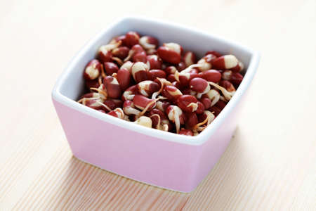 bowl of kidney beans sprout - food and drinkの写真素材