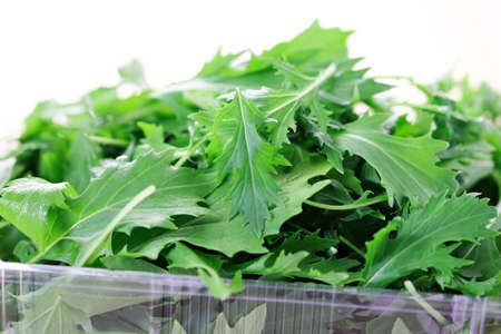box of mizuna leaves ready for salad - fruits and vegetablesの写真素材