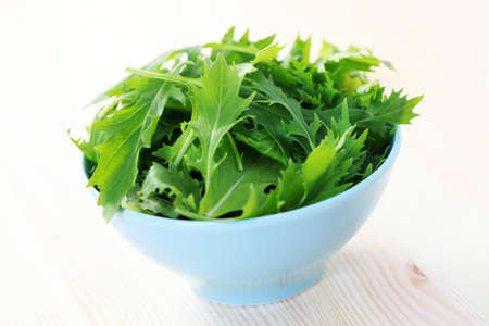 bowl of mizuna leaves ready for salad - fruits and vegetablesの写真素材