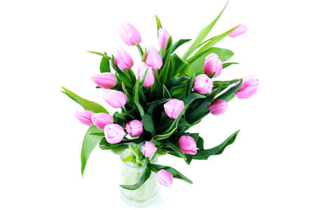 bouquet of lovely pink tulips on white background - flowersの写真素材
