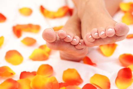 sexy female feet with rose petals on white duvet - beauty treatmentの写真素材
