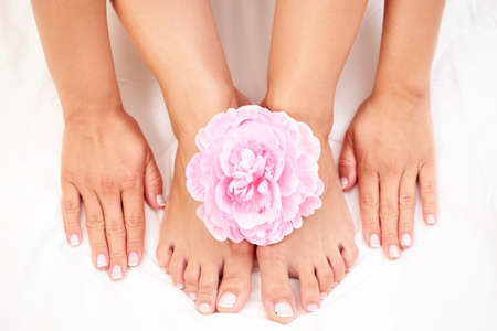 sexy female feet and hands with pink rose on white duvetの写真素材