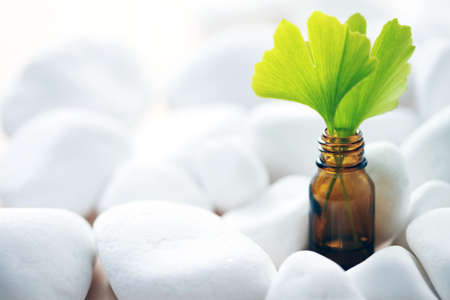 bottle of ginko essential oil with fresh leaves - beauty treatmentの写真素材