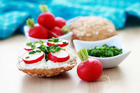 buns with cottage cheese and fresh radish - food and drinkの写真素材