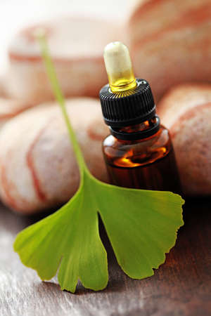 bottle of ginko essential oil with fresh ginko - beauty treatmentの写真素材